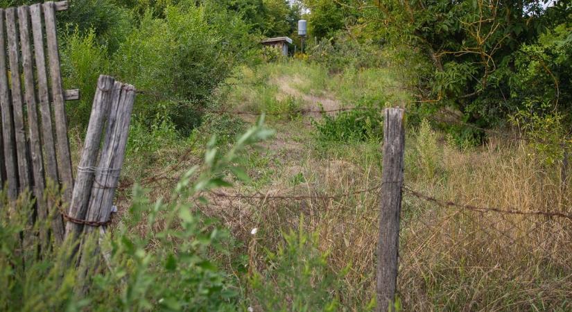 Üres telken garázdálkodott egy hadházi férfi, nem hitt a szemének, mikor meglátta, mit rejtettek el!