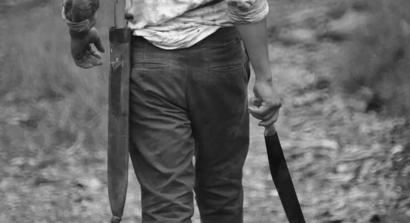 Nem hiszi el, miért állt bosszút egy apa és fia Pest vármegyében