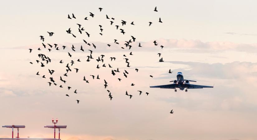 Katasztrófától tartanak az utasok, ha ez történik a levegőben: leleplezték a repülés egyik legnagyobb titkát