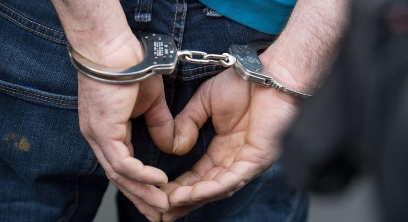 Szirti sassal vadászott macskákra egy férfi Pest Vármegyében – a rendőrök lekapcsolták