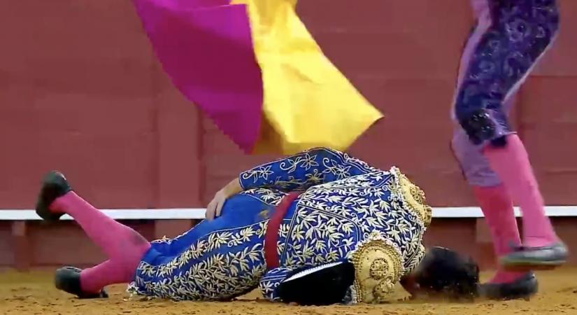 Fenékbe öklelte a bika a híres spanyol matadort