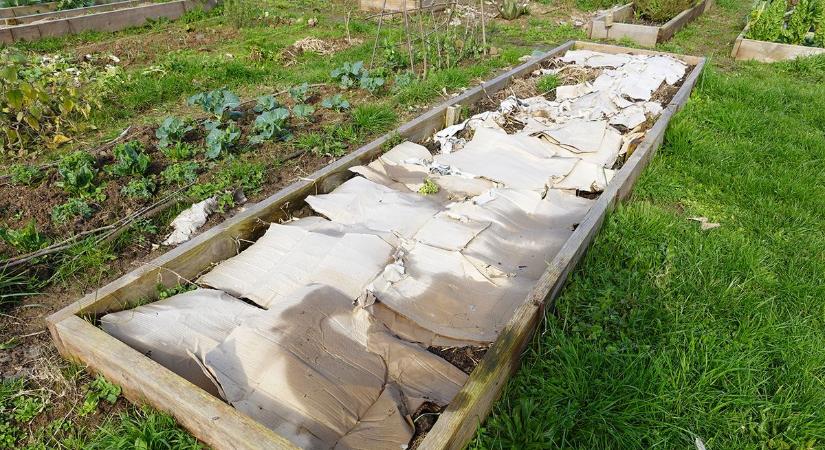 Kerti hulladékból virágzó kert, ráadásul ásásmentesen? Így működik a lasagne-kertészkedés