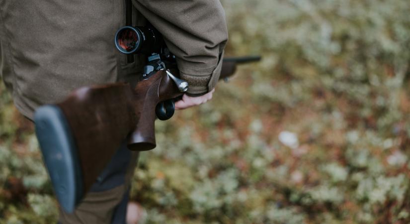 Olyan vadat lőttek Somogyban, amelyre évtizedek óta nem volt példa