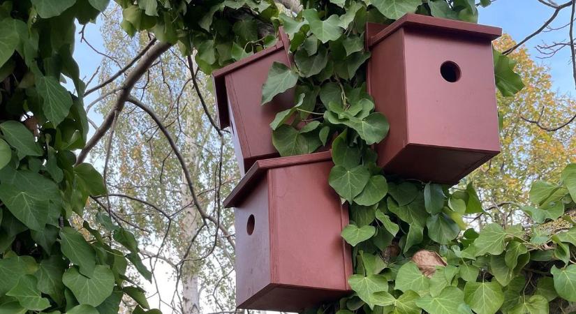 A föld megmentése - Az egyetlen módszer az önmérséklet