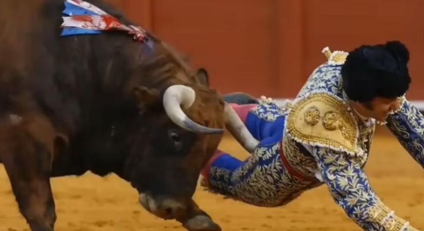 A lehető legrosszabb helyen találta el a bika szarva „matadorok királyát” – több órán át műtötték (VIDEÓ)