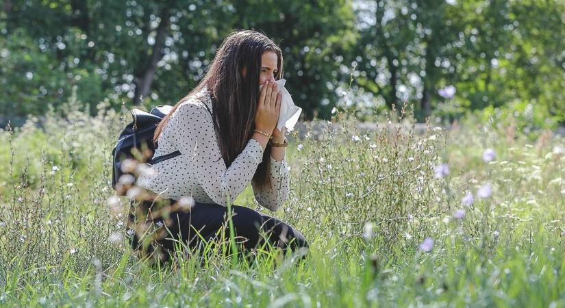 Most még azok is tüsszögnek Szabolcsban, akik nem allergiások. Mutatjuk, miért