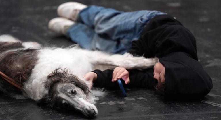 A kutyák is úgy tanulnak, mint a gyerekek?