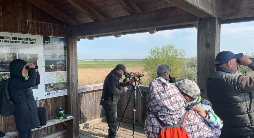 A Túzokok nyomába eredtünk a Föld Napján - Képgaléria