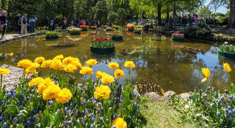 A legszebb virágzó helyek Európában tavasszal – most érdemes menni