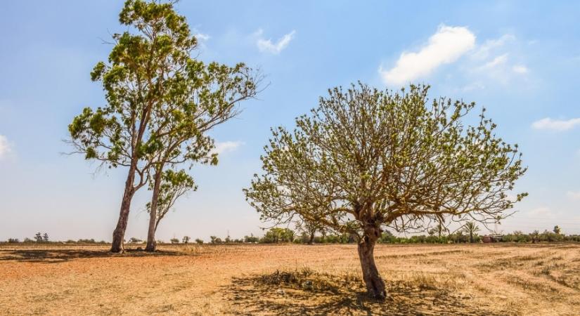 Már az eső sem ment meg minket? Alapjaiban változott meg az aszály természete