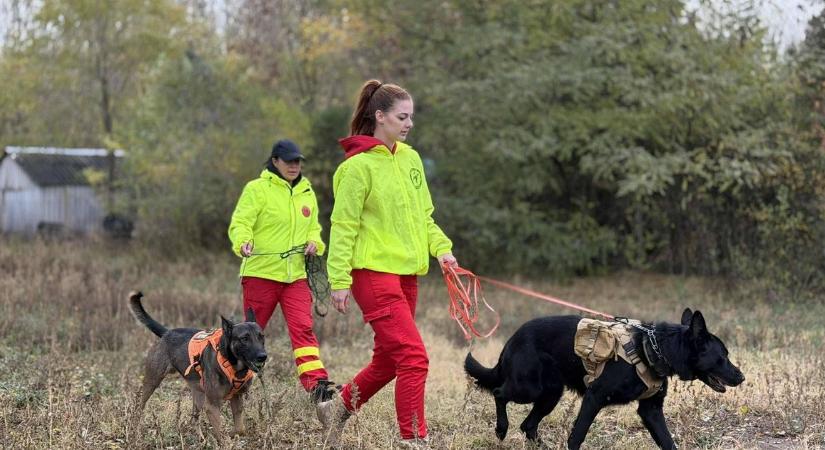 Két hónap után előkerült az eltűnt fiú, akinek egy hajléktalannál találták meg a telefonját