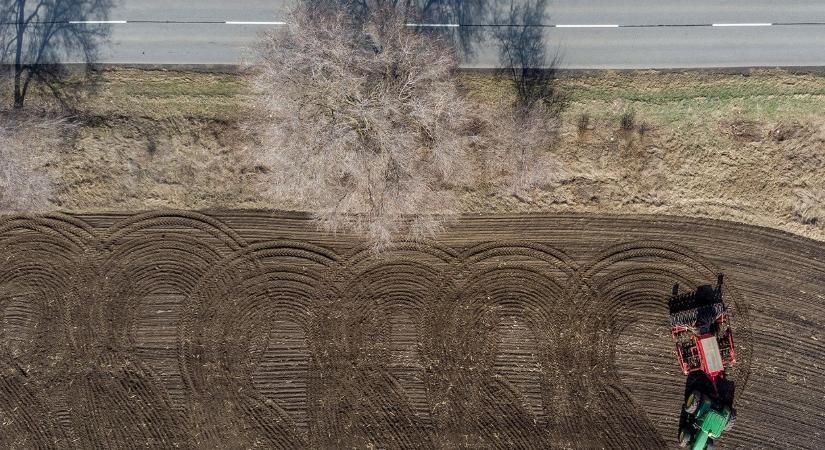 Nyakig ülünk az ökológiai válságban, és a cégek sem menekülhetnek előle