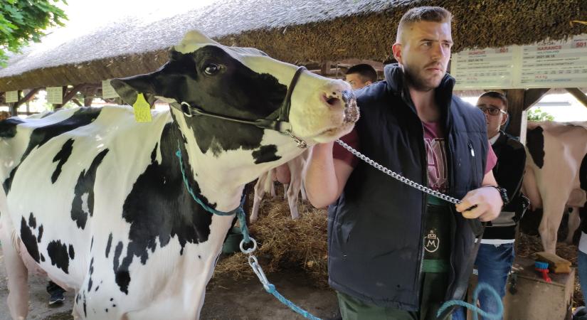 Szakmai és családi programok váltják egymást az idei Állattenyésztési és Mezőgazda Napokon