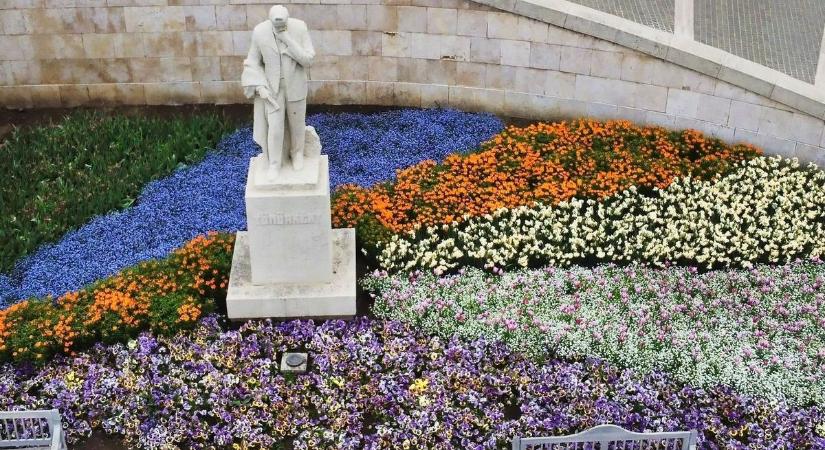 Virágba borult a város: elképesztő látvány fogadja a szegedieket a Móra-múzeumnál