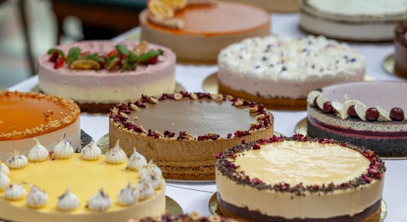 Magyarország Cukormentes Tortája 2026: erős mezőnyből választották ki a hat elődöntőst