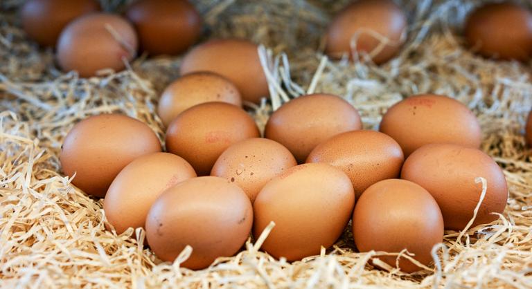 Évek óta záptojásszag terjeng a somogyi faluban