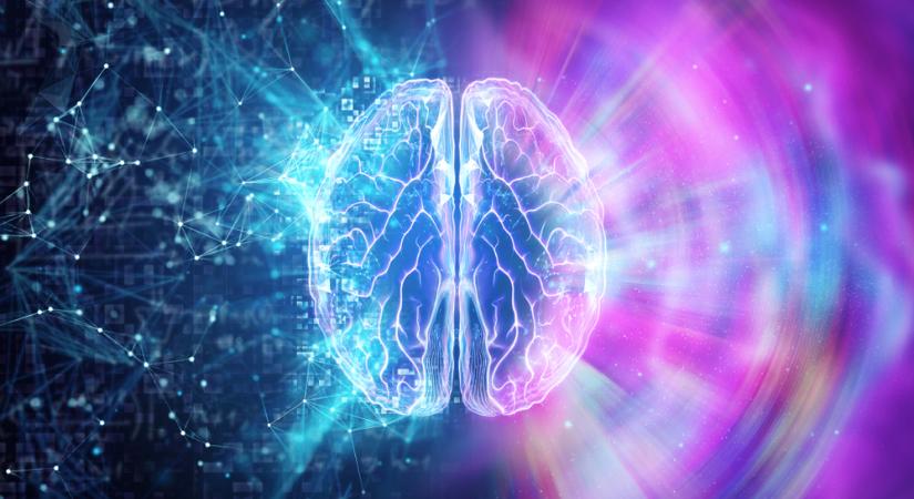 A tudat rejtélye: hogyan születik meg az élmény az emberi agyban?