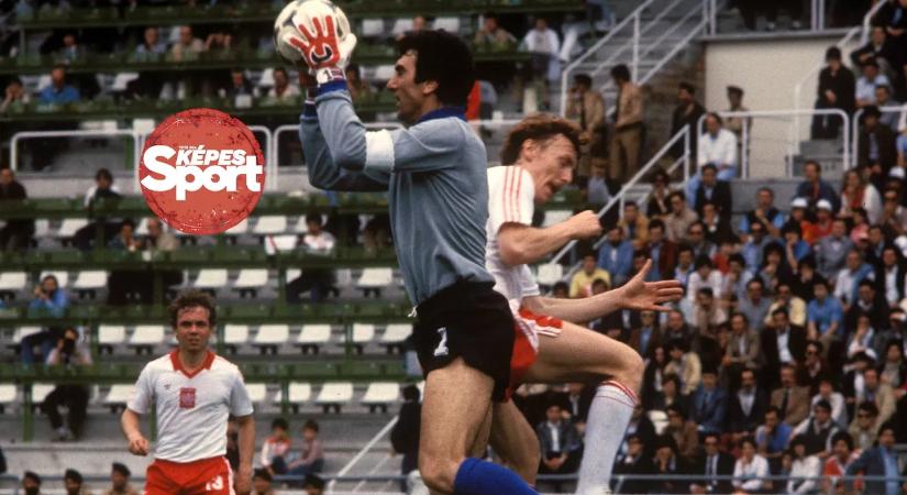 Megjött végül az áram és a víz is – az első 100-szorosok, 14. rész, Dino Zoff