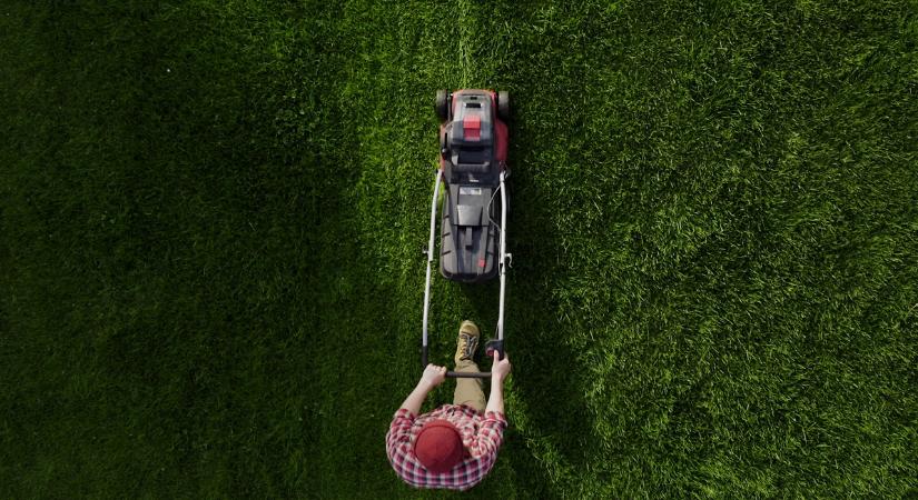 Fűnyírás közben aranyrudakat talált, megtarthatja