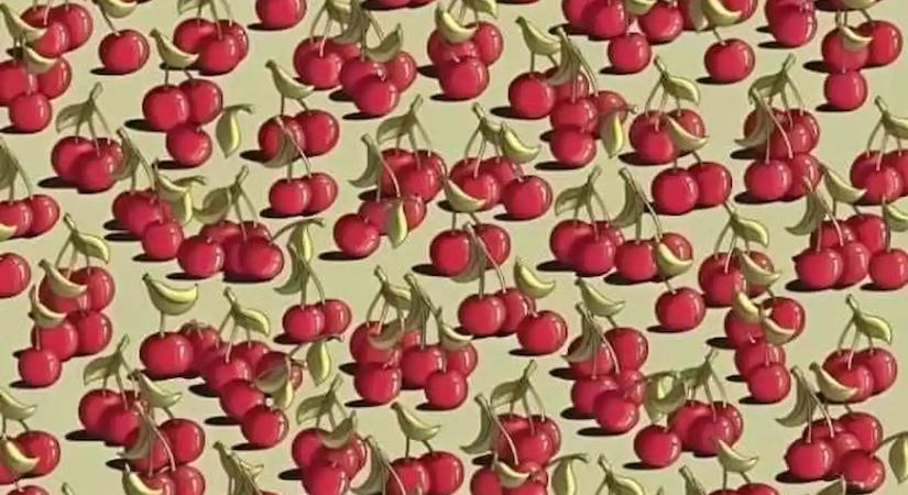 Csak az emberek 2%-a találja meg a paradicsomot mindössze 5 másodperc alatt