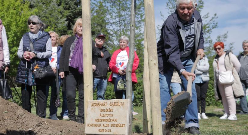 Monspart Sarolta emlékére avattak táblát, életműdíjakat is átadtak (galéria)