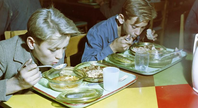 Retró időutazás műanyag tálcán: a kvíz, ami visszarepít a kockás abroszos menzák világába