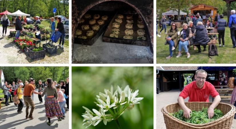 Medvehagyma-brummogás: családi hétvége vár ránk Orfűn