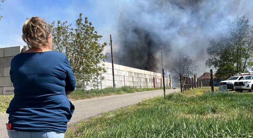 Tizenkét vízsugárral oltják a kecskeméti lángokat a tűzoltók  fotók