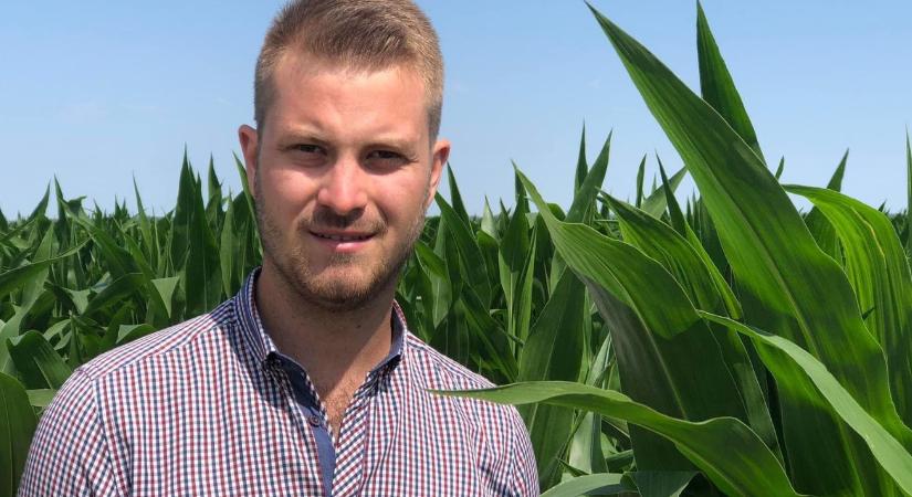 Nulla termés vagy rekordhozam? A győztes kukoricatermelő szerint a víz az egyetlen esély