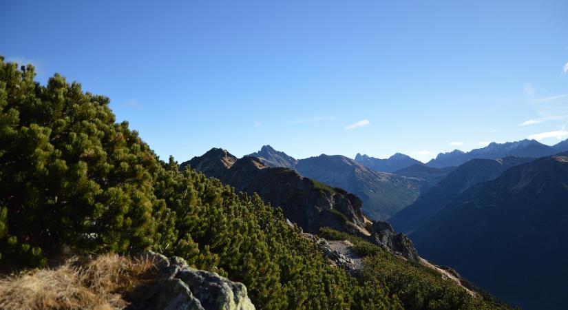 Szigorú védelem alá helyezték a Tátra különleges értékét