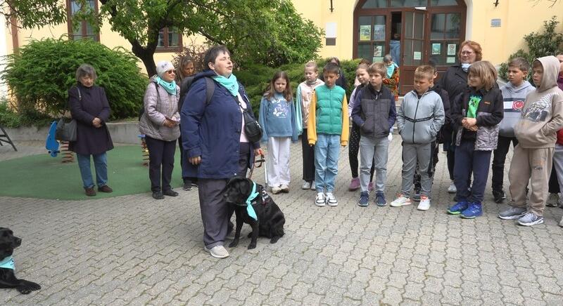 Látássérültekről látóknak