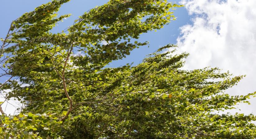 Szombatig meleg, tavaszias idő várható, vasárnap hidegfront hoz lehűlést