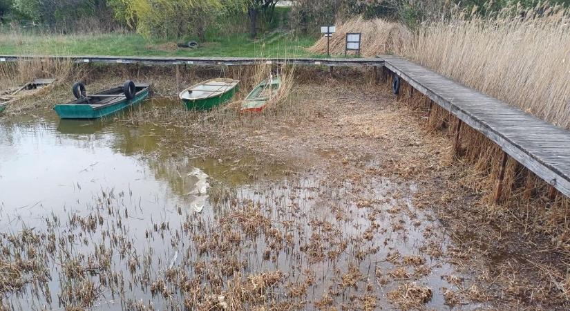 Továbbra is jelentős a vízhiány a Velencei-tónál