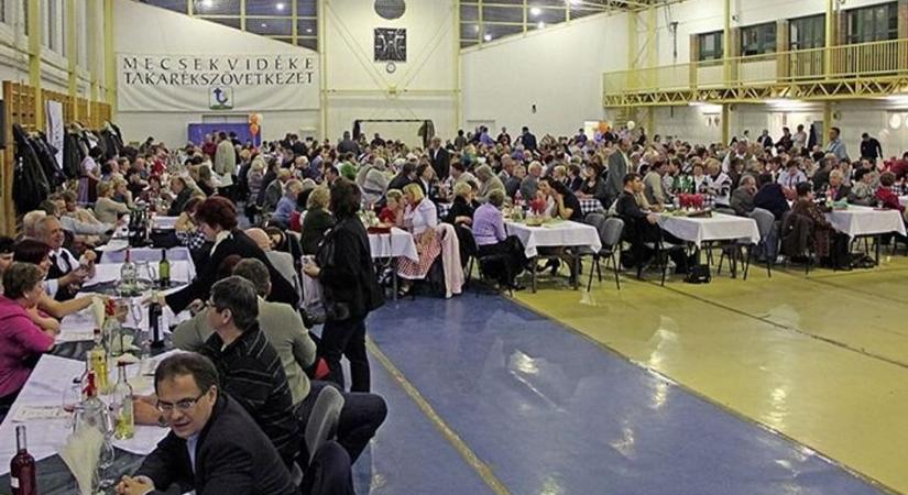 Szenzáció a borversenyen: ezek a móri borok letarolták a mezőnyt