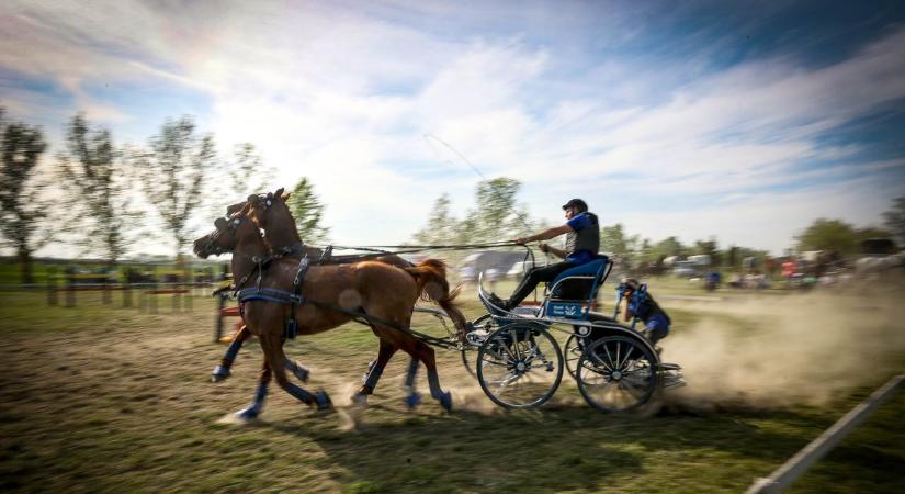 Patadobogás jelezte: elindult a fogathajtó versenyszezon! (galériavideó)