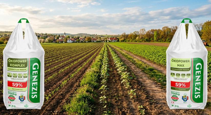 Időszerű tápanyag-utánpótlási feladatok kapás kultúrákban