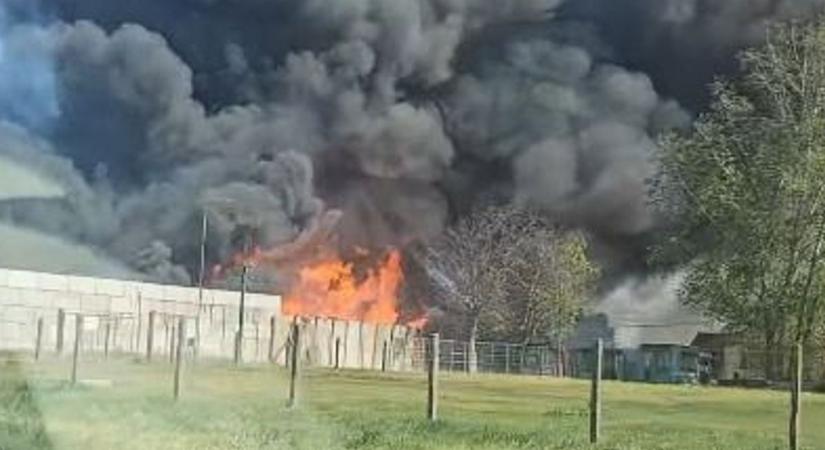 Drámai képsorok: így lángol a szemét Kecskemétnél (VIDEÓ)