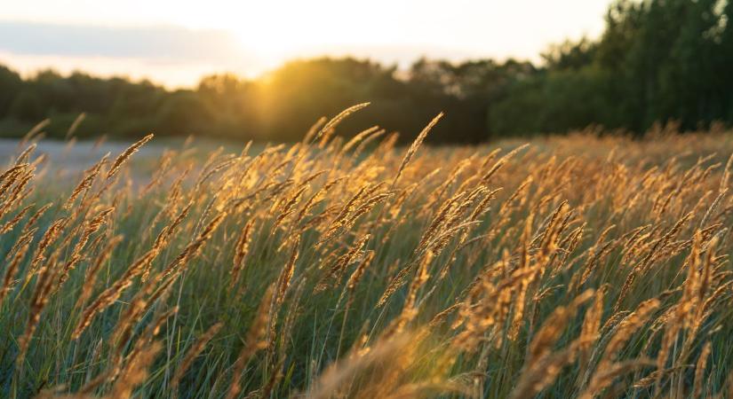 Végre visszatér a tavasz! Térképen mutatjuk, hol lesz a legmelegebb pénteken