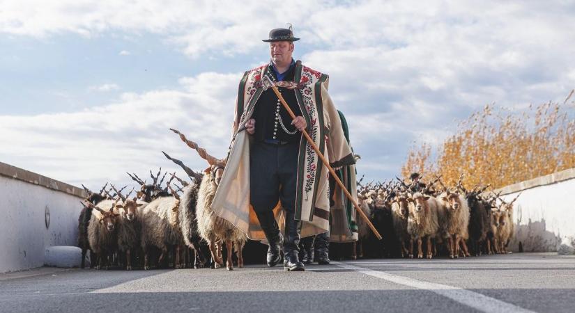 A hortobágyi kihajtási ünnep a hétvége slágere, de millió ingyenes program lesz még Hajdú-Biharban!