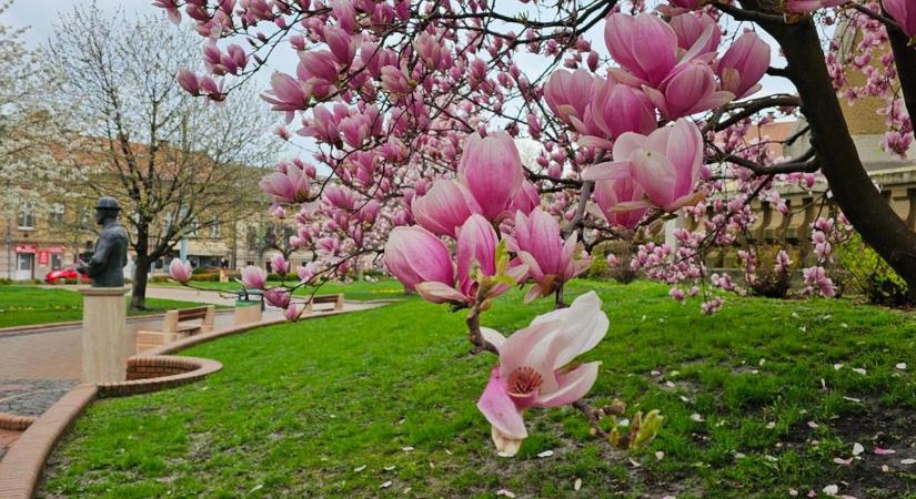 Minden nap egyre melegebb lesz, de vasárnap jön az igazi hidegzuhany