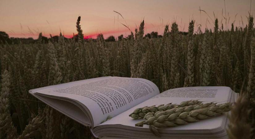 Nem B terv többé – az agrártechnikum ma már a gimnázium valós alternatívája