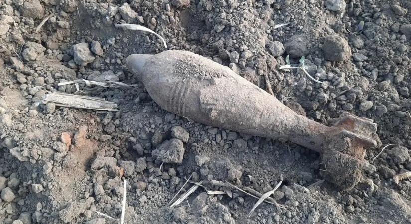 Gránátalma helyett igazi gránát „termett” egy nyíregyházi kertben