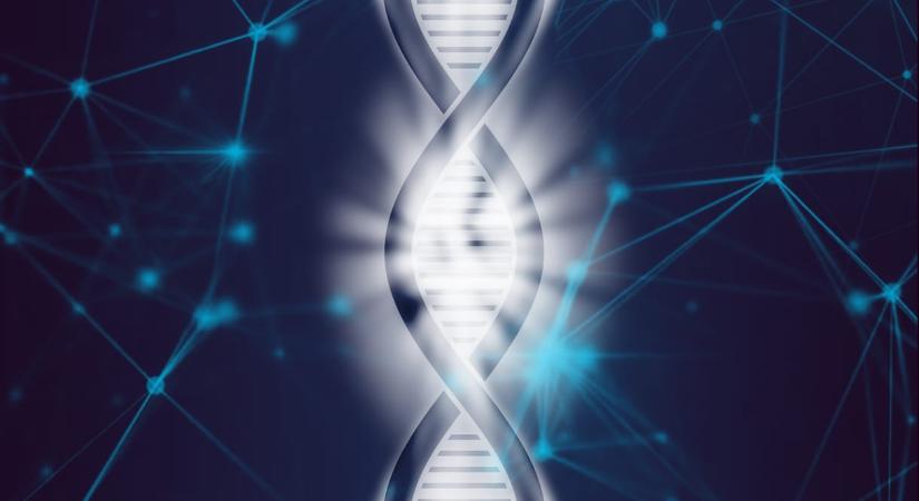 Evolúciós fejlődés jöhet a mesterséges intelligenciában, ha megtörténik, abból nagy baj lehet