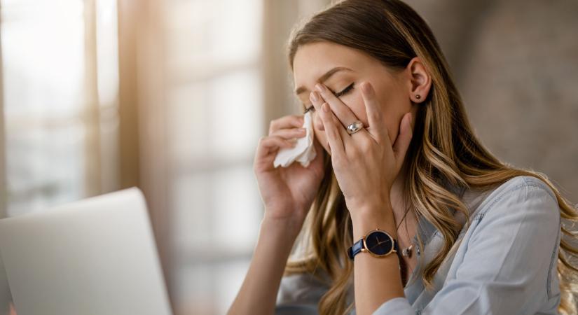 Allergiaszezon: tényleg segít a tünetek enyhítésében a légtisztító? Ettől függ!