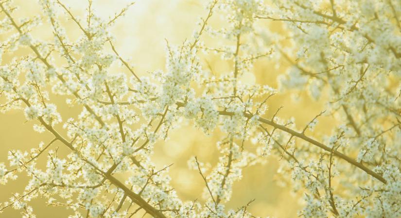 Jön a fordulat az időjárásban? Mutatjuk, kell-e a kabát pénteken!