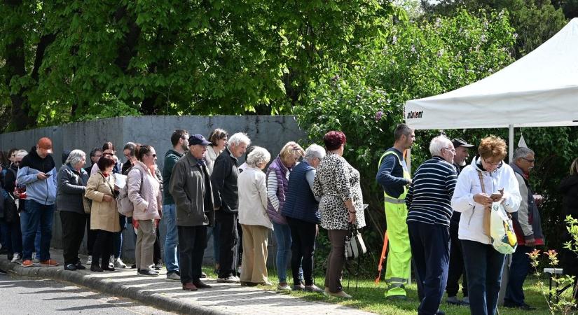 Ültess jövőt Siófokon – ingyenes facsemete- és levendulaosztás volt a Föld Napján