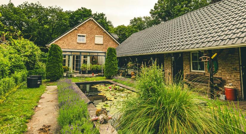 Kerti tó tisztítás: mikor és hogyan érdemes nekifogni tavasszal?