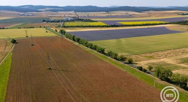 Agrometeorológia: nagy szükség van az esőre
