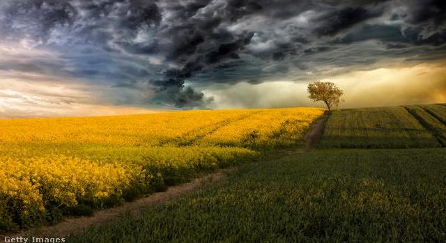 Brutális hőhullámok után szélsőséges tél: így alakíthatja át időjárásunkat a szuper El Niño