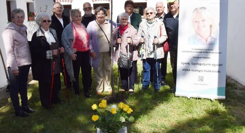 Mozgás, természet, közösség: emlékfát ültettek Monspart Sarolta tiszeletére Jászalsószentgyörgyön – galériával